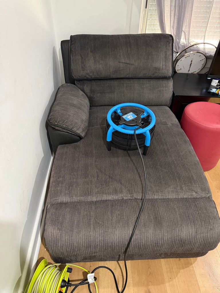 Gray sectional couch after professional cleaning