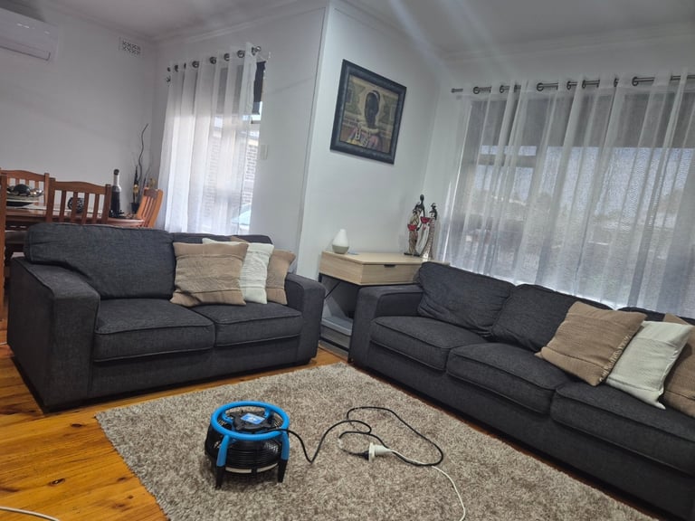 Modern living room with gray sofas after cleaning