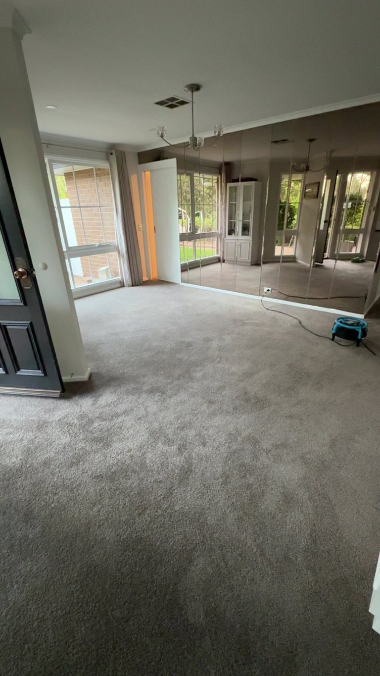 Spacious empty room under construction with gray carpet, large mirror, glass doors, and windows overlooking outdoor area