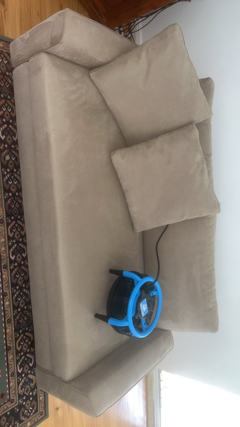 Beige upholstered armchair after professional cleaning