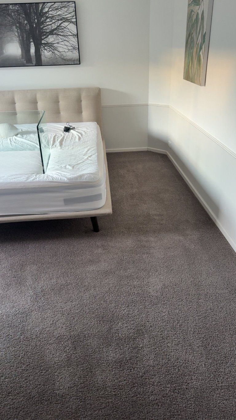 Minimalist bedroom interior with a beige upholstered bed, white mattress, gray carpet floor, and framed artwork on walls