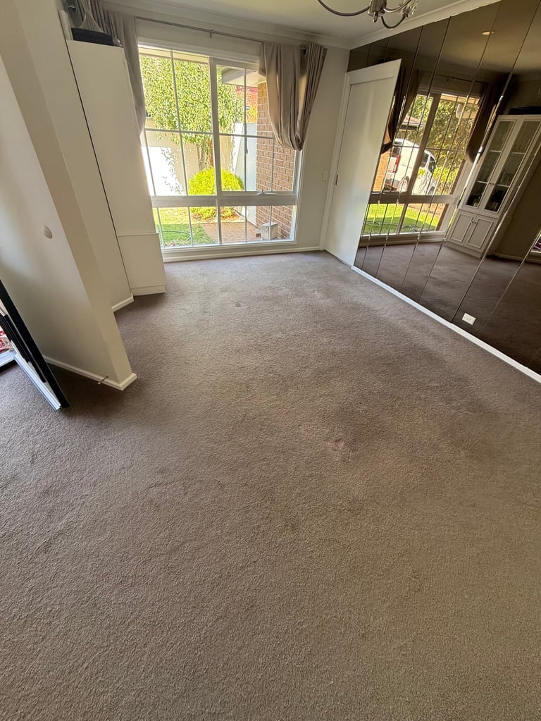 Empty bedroom with beige carpet, large windows overlooking garden, white walls, ceiling light, and mirrored wardrobe doors