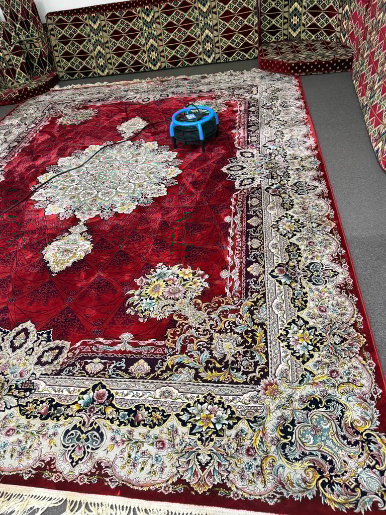 Large ornate red and cream Persian-style rug with floral patterns in a room with patterned walls and a blue cleaning machine on top