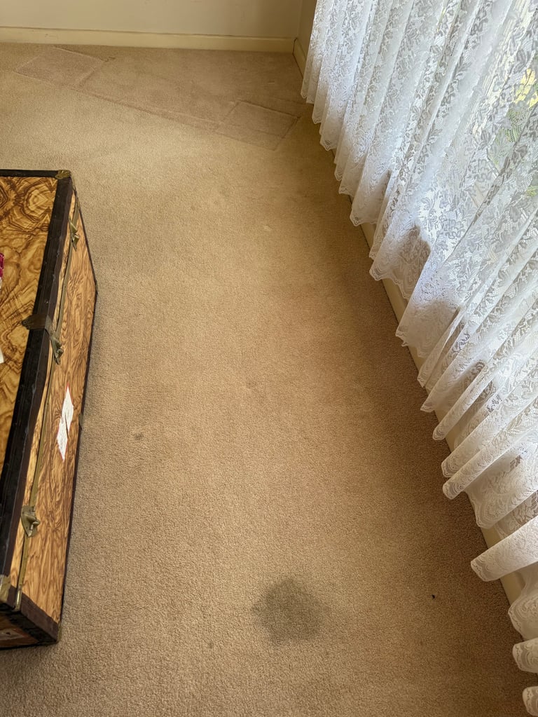 Tan carpeted room with white lace curtains on the right and a wooden decorative item on the left floor